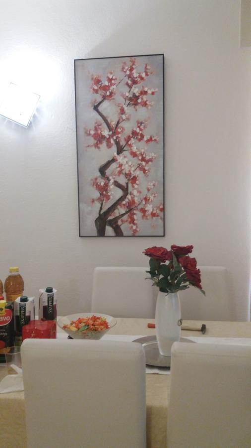 Casa Ilaria Apartment Arzachena